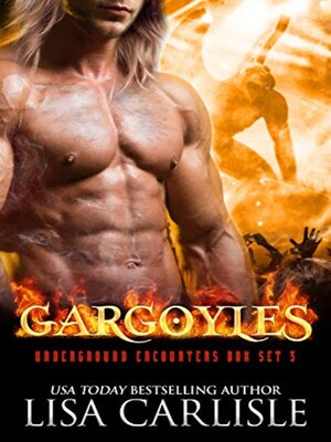 cover image of Gargoyles